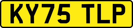 KY75TLP