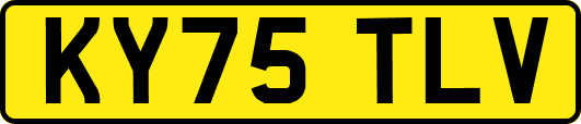 KY75TLV