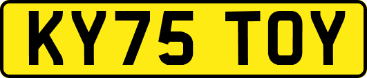 KY75TOY