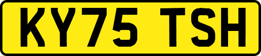 KY75TSH