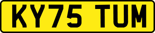 KY75TUM