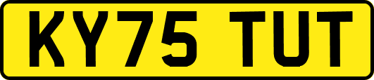KY75TUT