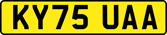 KY75UAA