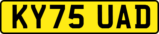 KY75UAD