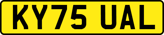 KY75UAL