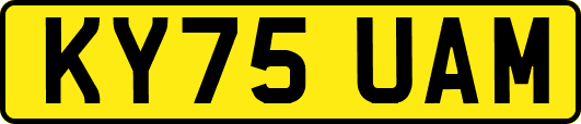 KY75UAM