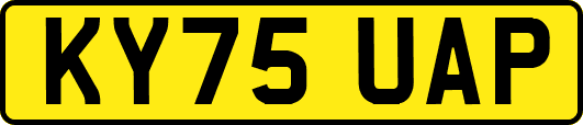 KY75UAP