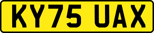 KY75UAX
