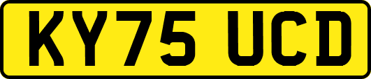 KY75UCD