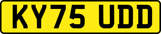 KY75UDD