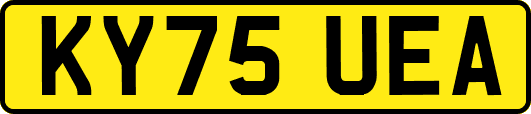 KY75UEA