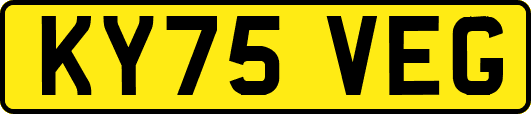 KY75VEG