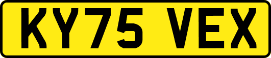 KY75VEX