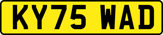 KY75WAD