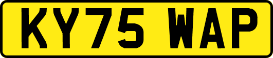 KY75WAP