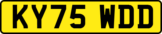 KY75WDD