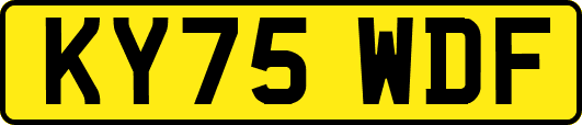 KY75WDF