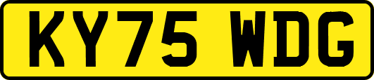 KY75WDG