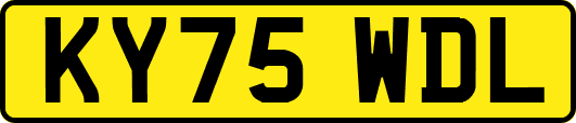 KY75WDL