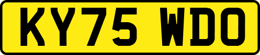 KY75WDO