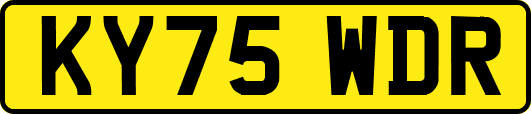 KY75WDR