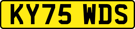 KY75WDS