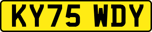 KY75WDY
