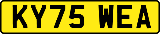 KY75WEA