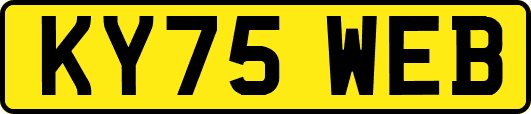 KY75WEB