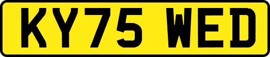 KY75WED