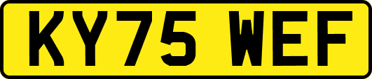 KY75WEF