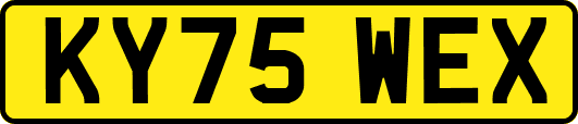 KY75WEX