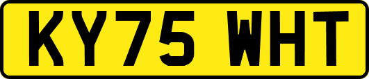 KY75WHT