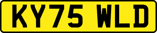 KY75WLD