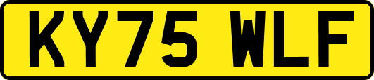KY75WLF