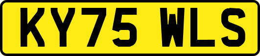 KY75WLS