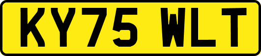 KY75WLT