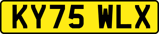 KY75WLX