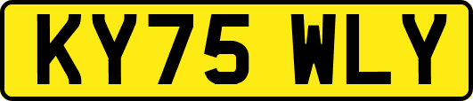 KY75WLY