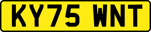 KY75WNT