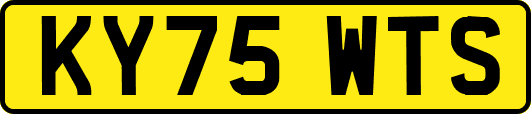 KY75WTS