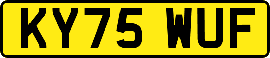 KY75WUF
