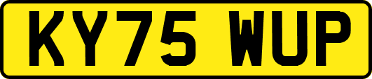 KY75WUP