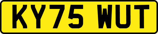 KY75WUT