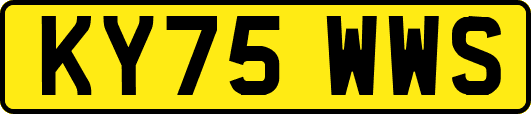 KY75WWS