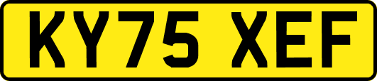KY75XEF