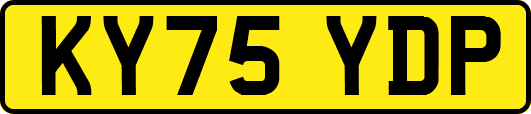 KY75YDP