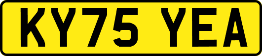 KY75YEA