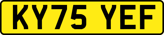 KY75YEF