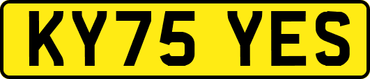 KY75YES